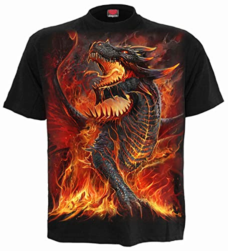 Spiral - Dragons Collection, Draconis, XL
