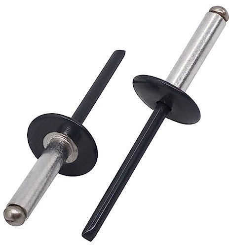 SKIR'CO (100 Stück) Großflansch Alu Blindnieten 4,8 x 20 mm, Edelstahldorn, RAL 7016 Anthrazitgrau