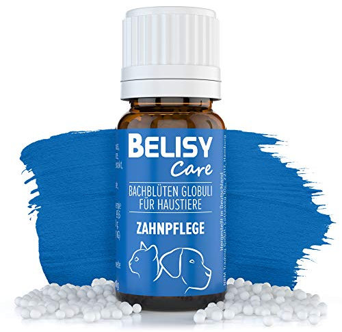 BELISY Zahnpflege Bachblüten Kügelchen für Hunde & Katzen - Perfekt für Zähne & Zahnstein - Spezial Bachblütenmischung mit Thymian & Pfefferminze - alkoholfrei - 10 g