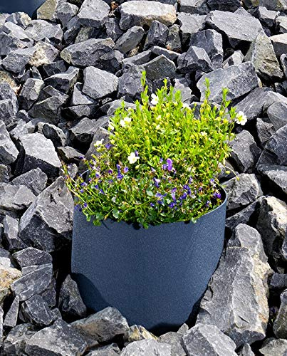 ARTECSIS 2er Set Hangmanschette, Hang-Pflanzschale, ideal zur Bepflanzung von Hängen, Hügeln, Schrägen mit Blumen und Pflanzen, 35 cm, anthrazit (2x2er Set)
