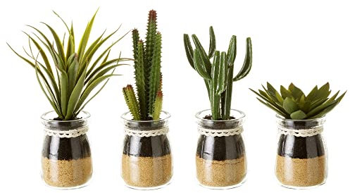 LOLAhome Set de 4 Plantas Artificiales de Cactus con Maceta de Cristal de Ø 5x18 cm