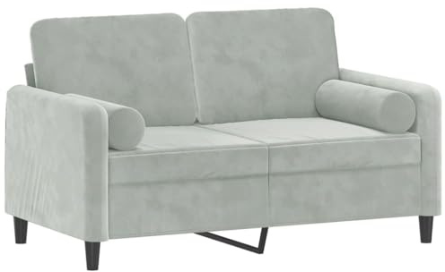 vidaXL Sofá de 2 Plazas con Cojines, Asiento con Respaldo Reposabrazos, Sofá Tapizado de Televisión, Asiento para Salón, Terciopelo Gris Claro