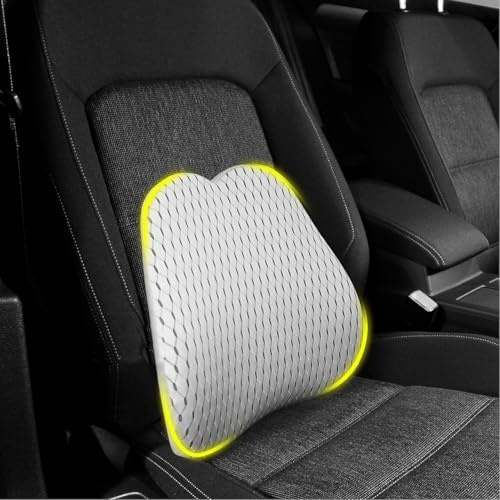 HEYOUTH Cuscino Lombare per Sedia da Ufficio per Auto,Supporto Lombare Ergonomico,per un Fastidioso Sollievo Dalla Parte Bassa Della Schiena,per Scrivania, Auto (grigio)