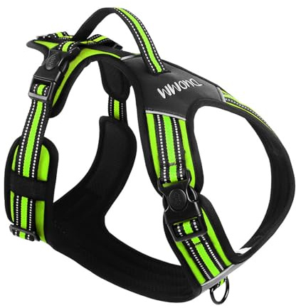 Pet Chest And Shoulder Straps For Enhances Visibility Keep Dogs Cats Safe And See During Outdoor Nighttimes Walks Tractions Rope Dog Tractions Rope Leashes