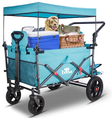 TMZ rullvagn, vikbar med tak, handvagn med 2-sitsiga och säkerhetsremmar, transportvagn med dra och glida, fotbromskapacitet 120 kg (himmelsblå)