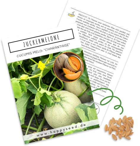 Zuckermelone Samen (Cucurbita melo) - Exotische Melonen Samen ideal für die Anzucht im Garten, Balkon oder Terrasse