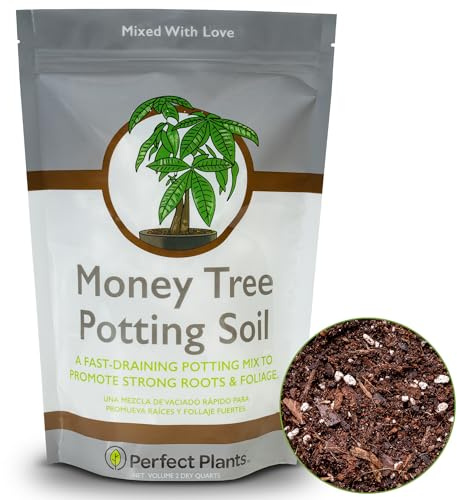 Perfect Plants Money Tree Potting Soil 2qt | Organic Coco Coir Based Plant Mix for Indoor Trees | Quickly Grow Your Indoor Forest (2qts.)