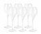 Lehmann Jamesse Premium Champagnergläser | 6er Set | 30cl Kristallgläser | Champagner- und Proseccoflöten | Französisches Luxusdesign | Breite Schale mit schmalem Deckel | Glaswaren aus Frankreich