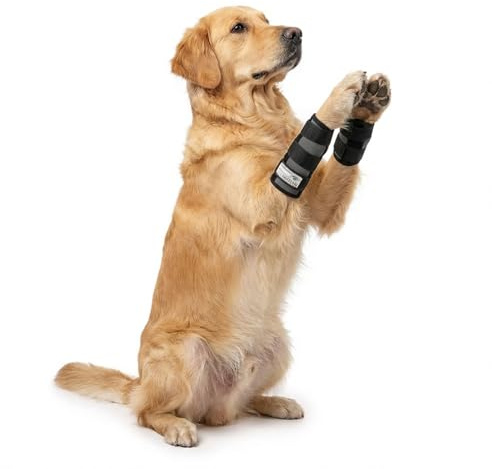 Nature Pet Hundesport Bandage für den Vorderlauf (L, Grau)