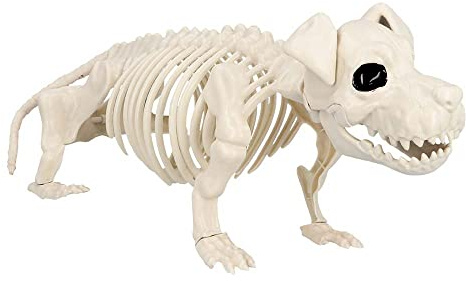 Boland - Dekoration Skelett Hund, 50 x 15 x 17 cm | Knochengerüst für Halloween, Karneval und Horror Mottoparty, Tiere