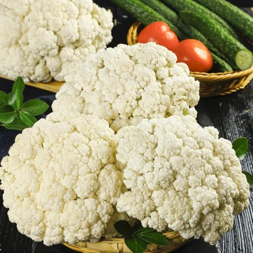 semi di cavolfiore precoci, biologiche vecchie varietà, balcone, esotiche, 550pcs