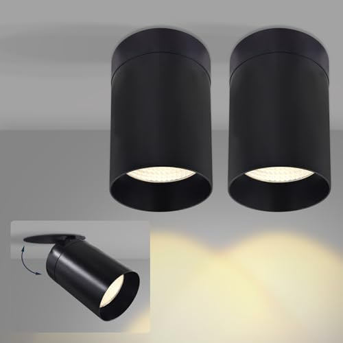LUXRITE 3-Inch Cylinder Downlight, Recessed Ceiling Spot Light, 5CCT Selectable 2700K-5000K, CRI 90, 16W, 1000 Lumens, Dimmable, 60º Swivel Angle, Spot Light Indoor, ETL Listed, Black Finish (2 Pack)