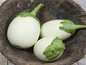Eggplant White Egg 1,000 Seeds