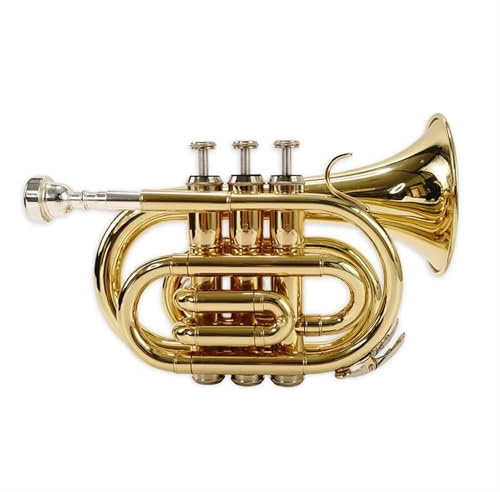 Taschentrompete B-Blech-Blechtrompete Instrument Anfänger Profi-Trompete Vollton Standard