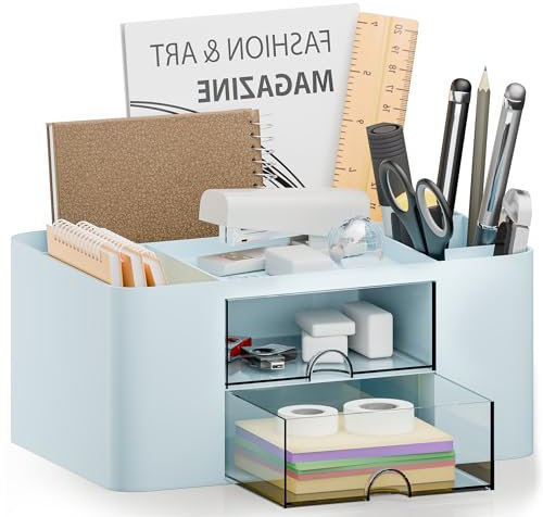 CasaCulina Schreibtisch-Organizer mit 2 Schubladen, multifunktionaler Stifthalter für den Schreibtisch, Schreibtisch-Organizer aus Kunststoff und Aufbewahrung mit 5 Fächern, Schreibtisch-Organizer für