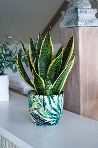 Ivyline Indoor Ceramic Monza Plant Pot Botanical Fern Green Planter 17cm