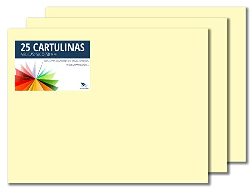 Raylu Paper – Papier Cartonné 50 x 65 cm Coloré, 25 Feuilles Cartonnées, Papier Epais de Couleur, pour l’Ecole, le Bureau, le Scrapbooking, les Activités Manuelles, 180g/m² (Crème)