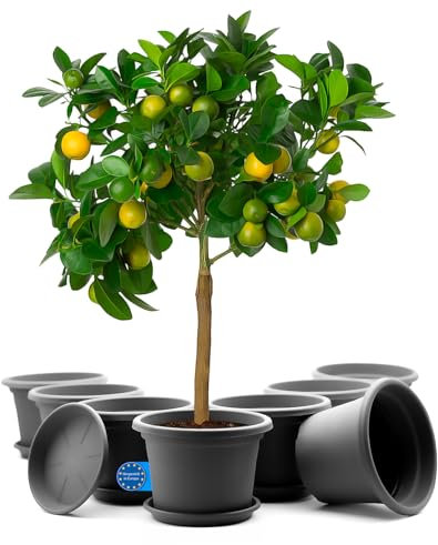 BigDean 8 Stück Blumentopf mit Untersetzer rund ø 35 cm Anthrazit – wetterfester Pflanzkübel Made in Europe