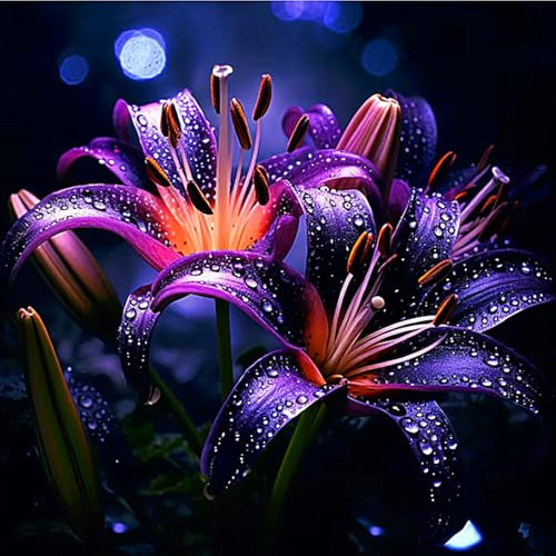 Lilium tuberi mix di cipolle,gigli in vaso,cipolle perenni,Grazia,Gigli a cipolle resistenti all'inverno,decorazione.-8pezzo-M
