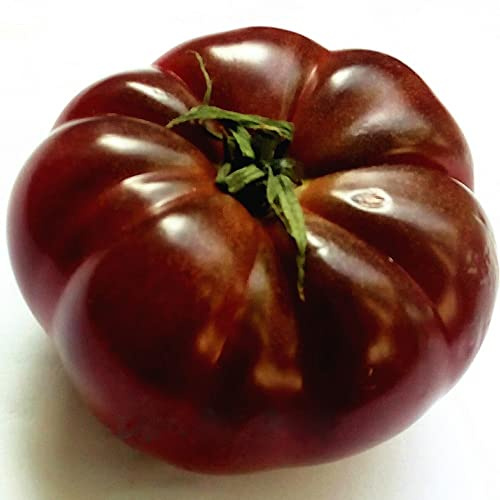 SeedsUP - 50+ Seeds Giant Elephant Tomato - Vegetable Black