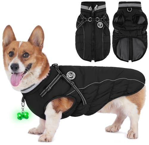 HezzLuv Hundemantel Winter, Hundemantel Wasserdicht, Warme Hundejacke mit Geschirr, Reflektierende Streifen, LED-Leuchtkragen, Winterjacken & Wintermäntel für Kleine, Mittelgroße Hunde