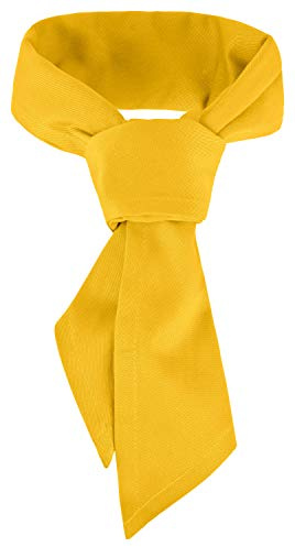 DESERMO Gastro Sciarpa triangolare 120 x 80 cm | Sciarpa professionale di alta qualità in tessuto misto spesso (65% poliestere/35% cotone) | Moda professionale con ampia scelta di colori | Scaldacollo
