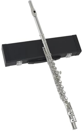 Flöte Musikliebhaber 16 Geschlossene Offene Löcher C-Taste Professionelles Querflöten-Konzertmusikinstrument Mit Box