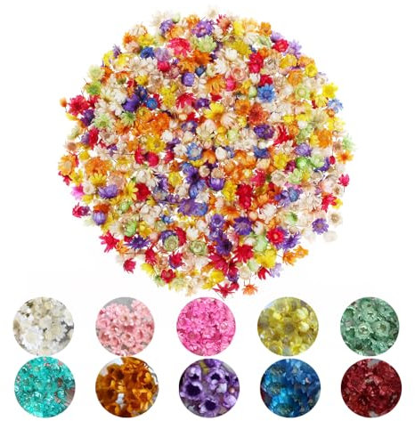 SPOKKI 280Pcs Fleurs Séchées Colorées, Petites Marguerite Colorées, Mini Fleurs Séchées Naturelles, Fleur Sechees Decoration pour Resine Epoxy Bougie Scrapbook Cadre Photo Décoration