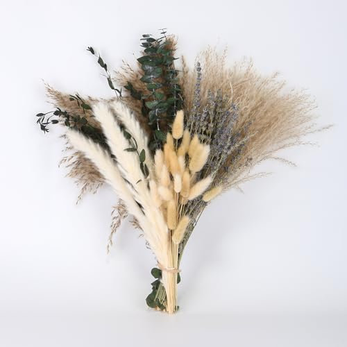 DULEIAU RAVFD Bouquet di Pampas Grass Essiccato, Fiori Secchi Decorativi, di Fiori Secchi Naturali Fai da, Erba di Pampa Essiccata Naturale per Matrimoni, Feste, Decorazioni Boho