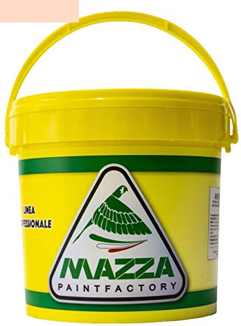 MAZZA Pittura Al Quarzo Per Muri Interni Ed Esterni Lt 14 Ad Alto Potere Coprente Colorificio (Camelia Mz1160)