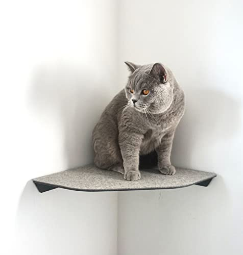 LucyBalu® Corner Katzenliege Wandecke Kletterstufe Filz – Anthrazit | Wandliege für Ecken mit Filzauflage, integriert, platzsparend, robust
