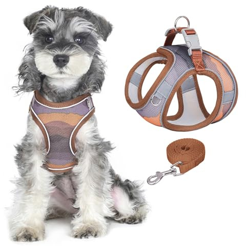 PawSailor Soft Mesh Dog Harness and Leash Set Step-in No Pull Printed Reflective Breathable Adjustable Safe Buckle Escape Proof Dog Vest Harness for Extra Small Dogs Cats, Brown XXS