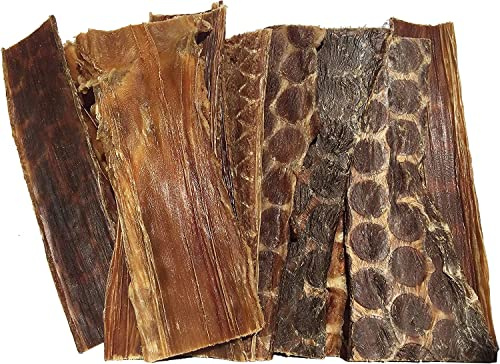 123 Treats Friandises pour Chiens au bœuf (15 cm - 500 grammes) Œsophage 100% Naturel - Délicieuses collations saccadées au bœuf pour Chiens