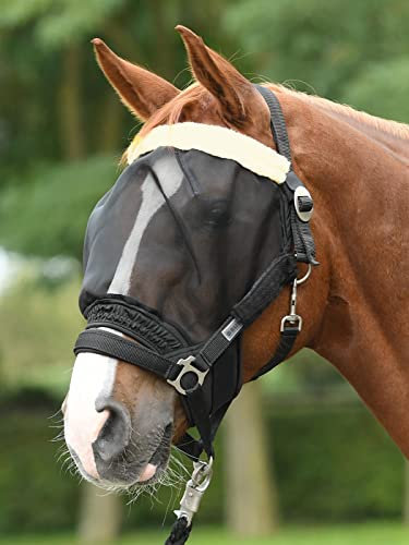 Busse Standard