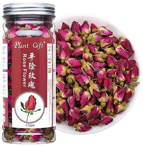Plant Gift Rose Buds Tea 50G/1.76oz 平阴玫瑰 Rosenknospen Tee für Schönheit, Premium 100% Bio -Kräutertee Kräutertee mit reichem Aroma, Linderung und Förderung des Stoffwechsels