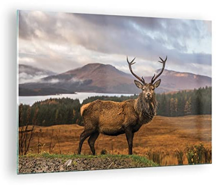 Bilder auf Glas Rehe Wiese Berge Glasbild 70x50cm Wandbilder Dekoration Wohnzimmer Schlafzimmer Küche Deko Klein Wanddeko Bild im Glas Wand Kunstdruck Art Modern Wall Decor Glasdruck GAA70x50-4231
