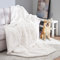 Topfinel Couverture Plaid Canape 150x200cm Blanc Couverture de Lit Double Face Douce Poil Long Plaid Fausse Fourrure Poil de Lapin Plaid Jeté de Canapé