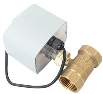 EVBELGBPZ Motorisierter Kugelhahn 1/2 Zoll 1 Zoll 2 Zoll Motorisierter Kugelhahn 3-Draht 2 Steuerung AC24V AC220V DC12V Messing Elektrischer Kugelhahn(2,24VDC CR02)