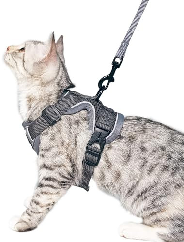 pangdi Katzengeschirr und Leine, ausbruchsicher, taktisch, mittelgroß, Kätzchengeschirr, emotionale Unterstützung, Katzenweste, Grau, M