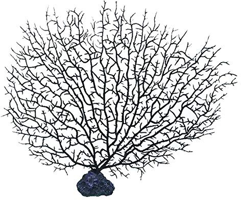 Wankd Künstliche Koralle,Künstliche Kunststoff Korallenbaum für Aquarium Aquarium Ornamente Gefälschte Meer Pflanze Korallen Blume Seeanemone Aquarium Dekoration Ornament (Schwarz)