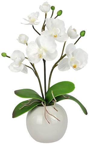 Künstliche Orchidee in Schale 35cm Kunstblume Blume Kunstorchidee Phalaenopsis mit Übertopf Kunstpflanze Hochzeit Deko Schmetterling Phalaenopsis Dekoblume Seidenblume Blumenarrangements weiß