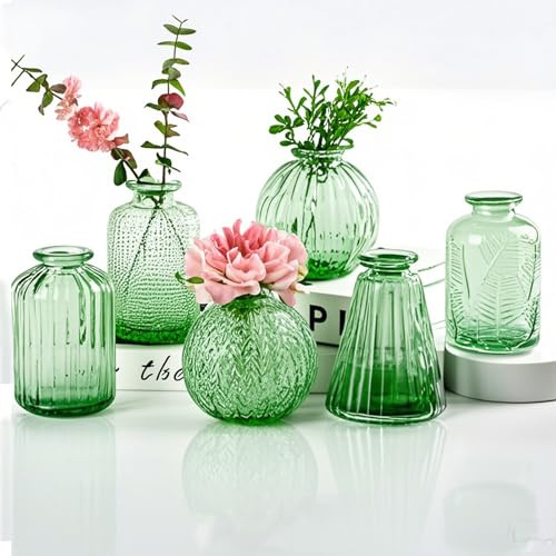 Small Vases for Flowers EylKoi - 6pcs/set Bud Vase Glass Green Different Shapes, Vintage Wedding Decor, Bud in Bulk for Centerpieces Small Glass Single Flower for Home Events Table, 1#+2#