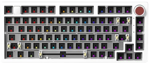 Xnuiasqe Kit Tastiera Meccanica Cablata con Retroilluminazione RGB. Montaggio A Guarnizione.