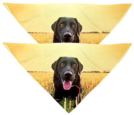 Hundehalstuch, Motiv: schwarzer Labrador, für Mädchen, Jungen, Haustier-Lätzchen, Halstuch, waschbar, Zubehör für kleine, mittelgroße und große Hunde, Welpen, Katzen, Haustier, 2 Stück