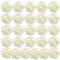 Auihiay 26 Pieces Hydrangea Artificial Flowers Silk Hydrangea Flowers Artificial Flowers Heads with Stems for Home Wedding Party Decorations (Ivory)