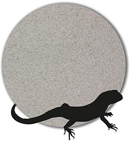 Anbobo 25 kg Terrariensand Terrarienkies Terrariumsand hellgrau (0,1-0,4 mm)