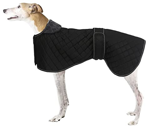 Windhund Whippet Wintermantel - wasserdichte Hundejacke mit Fleecefutter, verstellbar für mittelgroße oder große Hunde, ideal für Windhunde, Whippets, Lurcher, Salukis - Schwarz - XXL