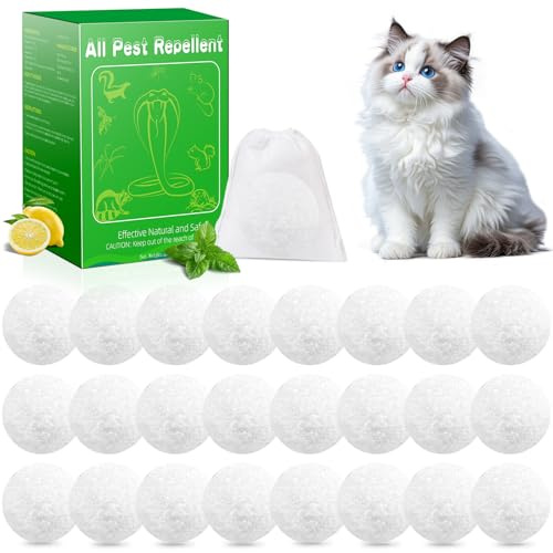 Cat Repellent Outdoor Indoor, 24 Pcs Peppermint Oil Natural Cat Deterrent Balls Preventing Cats Away from Indoor Furniture Scratch, Keep Cats Out of Yard Lawn Garden