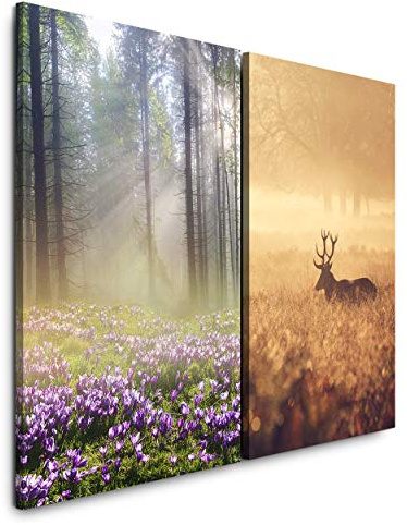 Paul Sinus Art Leinwandbilder 2 Stück je 40x60cm Wald Krokusse Hirsch Sonnenstrahlen