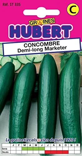 Graines de Concombre Demi-long Marketer - 3 grammes